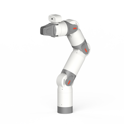 Kynooe Arm