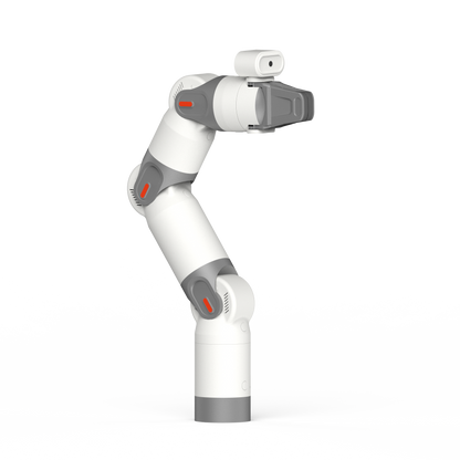 Kynooe Arm